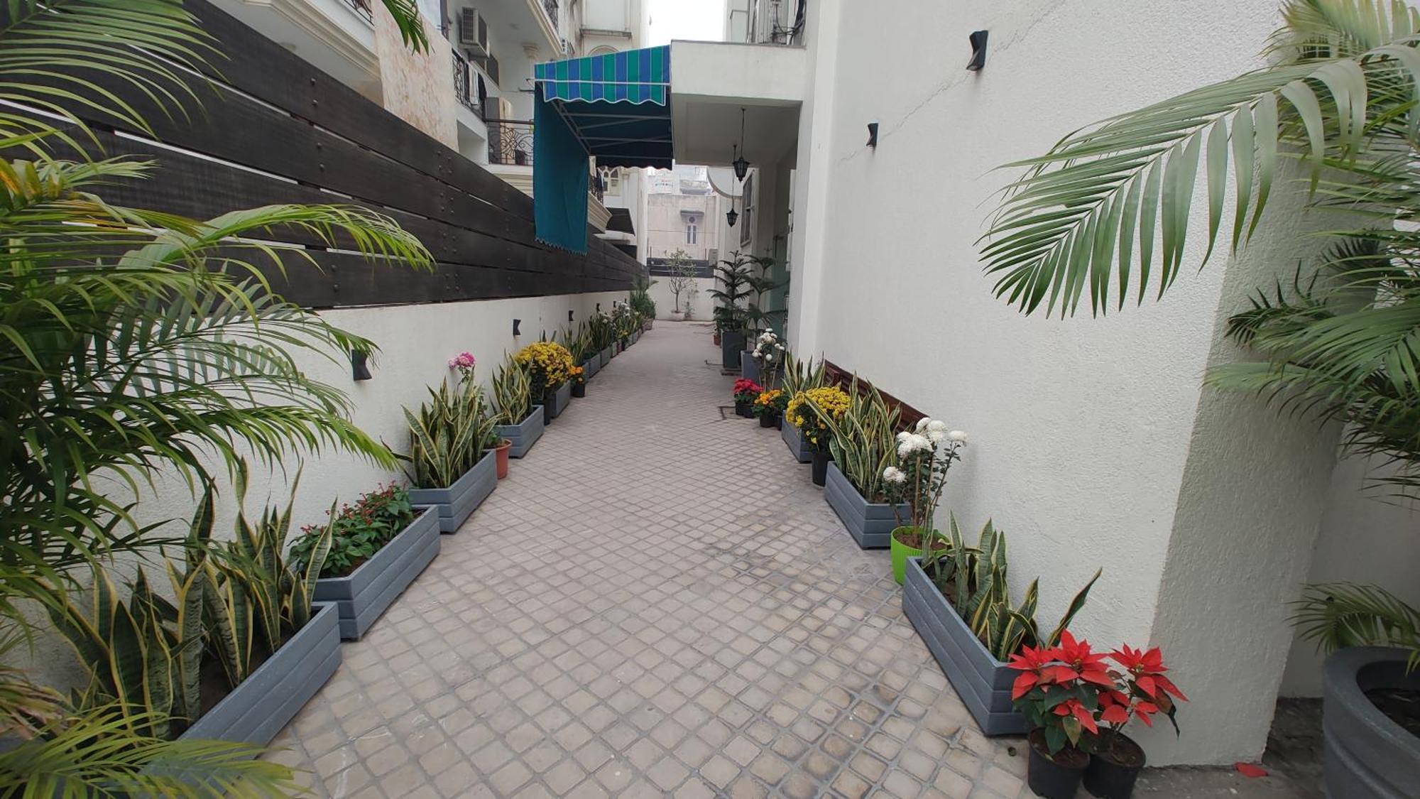 Saltstayz Thyme - New Friends Colony New Delhi